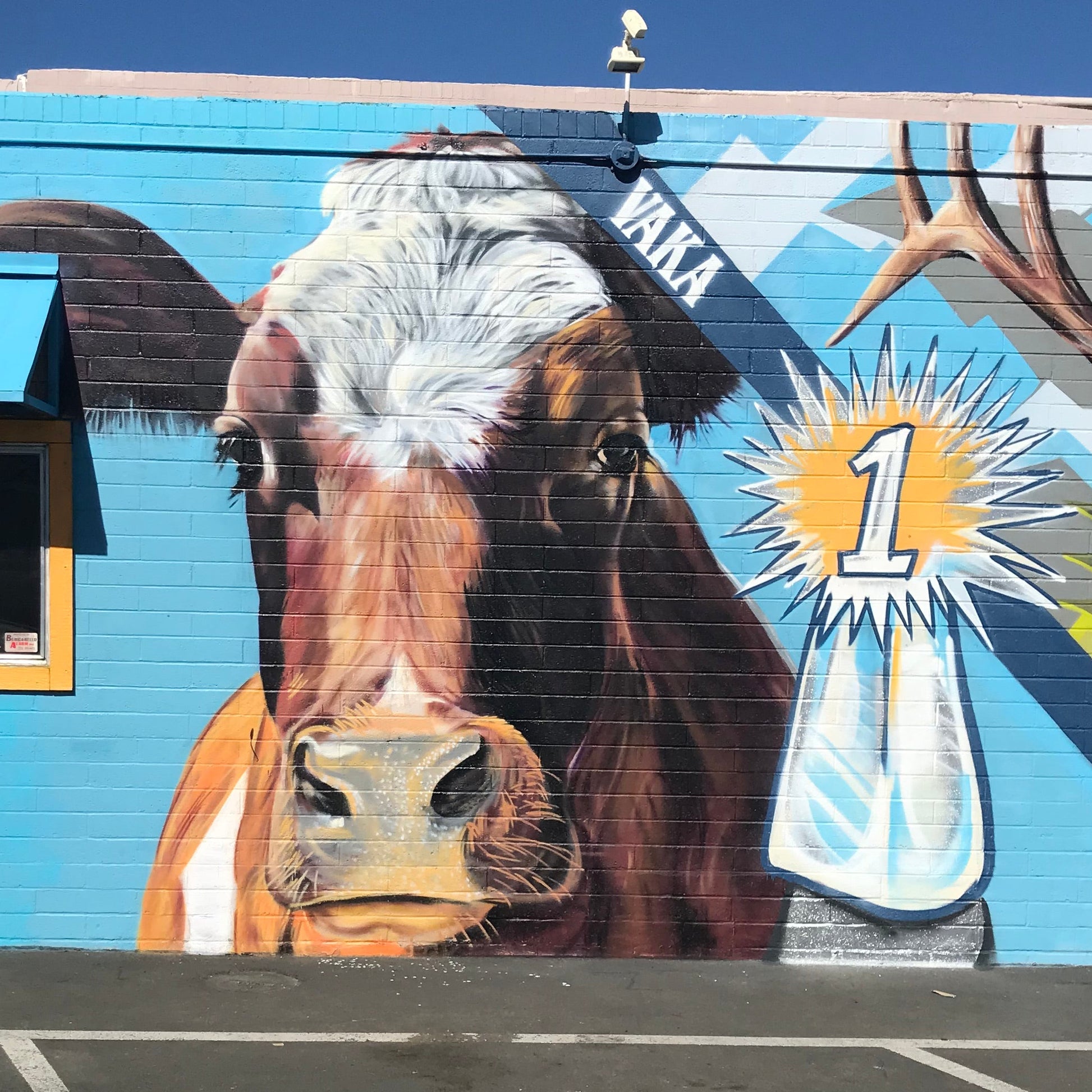Mural of a cow with a blue sky background