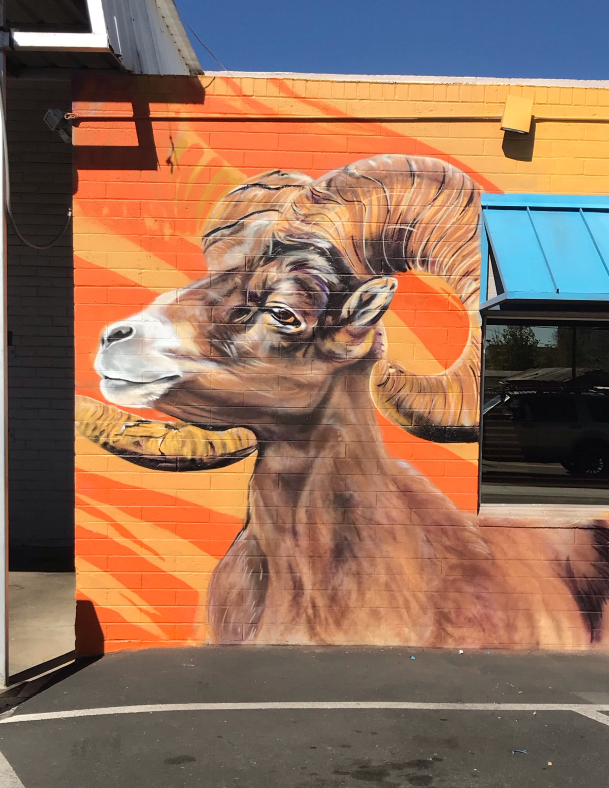 Mural of a goat with large horns on an orange background