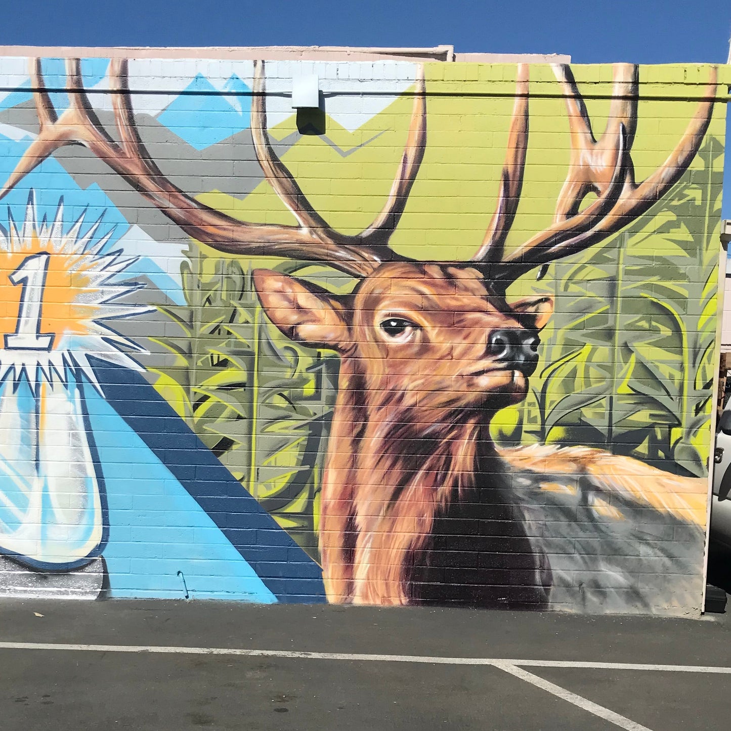 Mural of a deer with large antlers on a wall with colorful abstract designs.
