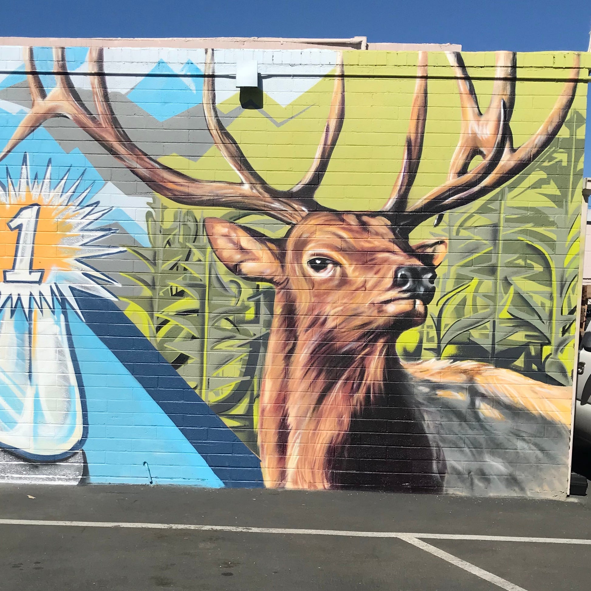 Mural of a deer with large antlers on a wall with colorful abstract designs.